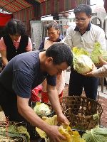 0222_138.JPG (88045 bytes)