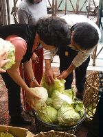 0222_139.JPG (85884 bytes)