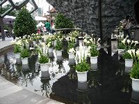 0228Taipei_008.JPG (146367 bytes)