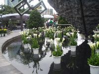 0228Taipei_125.JPG (129756 bytes)