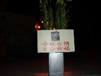 0228_074.JPG (52451 bytes)