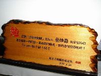 0310_021.JPG (98844 bytes)