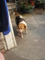 0316_013.JPG (73332 bytes)