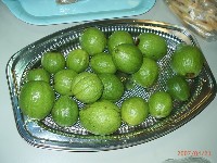 0421_053.JPG (135051 bytes)