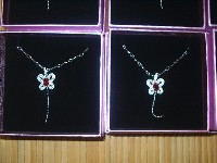 0511_016.JPG (76983 bytes)