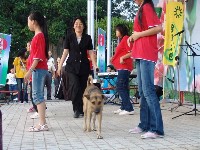 0513_079.JPG (145836 bytes)