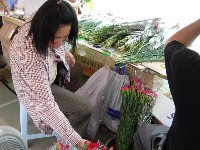 0513_137.JPG (133451 bytes)