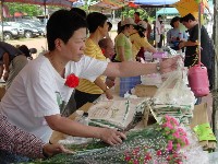 0513_140.JPG (140118 bytes)