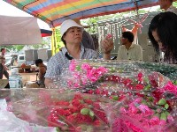 0513_146.JPG (140553 bytes)