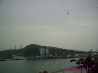 0517_005.JPG (47968 bytes)