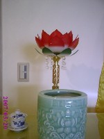 0520_017.JPG (57854 bytes)