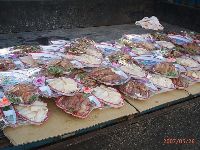 0526_034.JPG (149686 bytes)