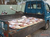 0526_035.JPG (140830 bytes)