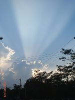 0526_038.JPG (43559 bytes)