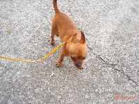 0526_041.JPG (174064 bytes)