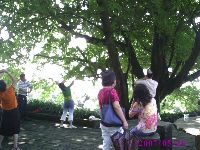 0526_070.JPG (143581 bytes)