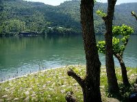 0527_025.JPG (154992 bytes)