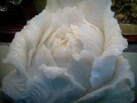 0527_034.JPG (76432 bytes)