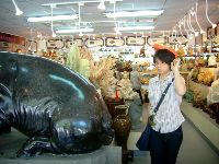 0527_039.JPG (128523 bytes)