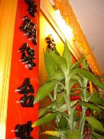 0527_095.JPG (108609 bytes)