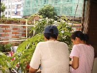 0616_159.JPG (146743 bytes)