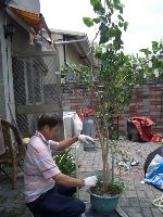 0617_002.JPG (126026 bytes)