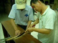 0618_009.JPG (82415 bytes)