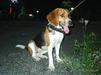 0624_079.JPG (109136 bytes)