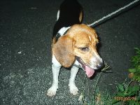 0624_080.JPG (121719 bytes)