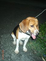 0624_082.JPG (68608 bytes)