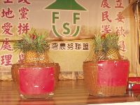 0628_006.JPG (112299 bytes)