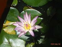 0630_077.JPG (94227 bytes)