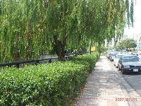 0705_016.JPG (178696 bytes)