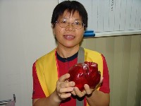 0708_163.JPG (38234 bytes)