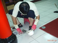 0716_05.JPG (53685 bytes)