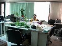 0804_006.JPG (95929 bytes)