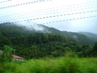 0811_020.jpg (87315 bytes)