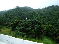 0811_021.jpg (107969 bytes)