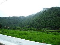 0811_022.jpg (91983 bytes)