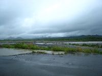 0811_028.jpg (67925 bytes)