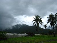 0811_033.jpg (78931 bytes)