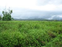 0811_041.jpg (133574 bytes)