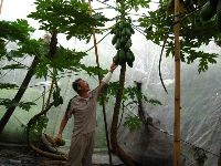 0811_045.jpg (148602 bytes)