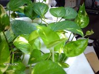 0812_050.JPG (109726 bytes)