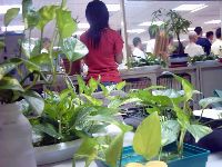 0813_062.JPG (128626 bytes)