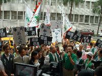 0820_007.JPG (156528 bytes)