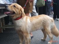 0908_0097.JPG (110258 bytes)