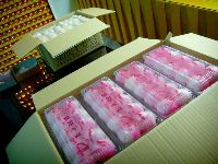 0922_021.JPG (121046 bytes)