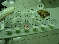 0922_095.JPG (97728 bytes)