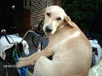 0923_131.JPG (127332 bytes)